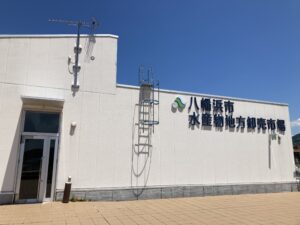 2024第2回ワーク&交流会「今日からパパもおさかな名人!かんたん親子クッキング」